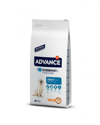 Advance Maxi Adult