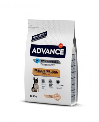Advance Bulldog Francês