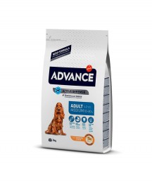 Advance Medium Adult